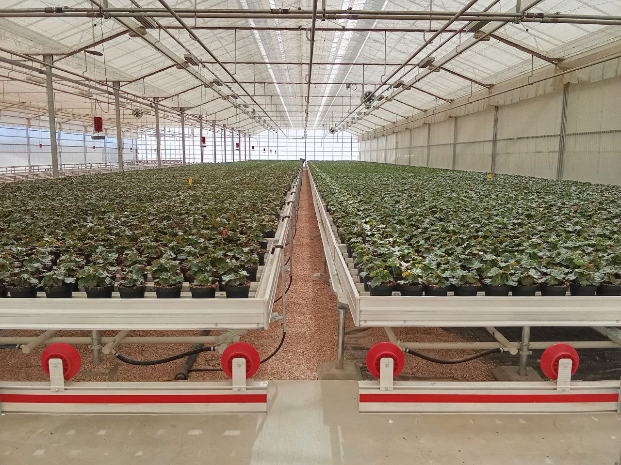 Project in Portugal 4200 m2