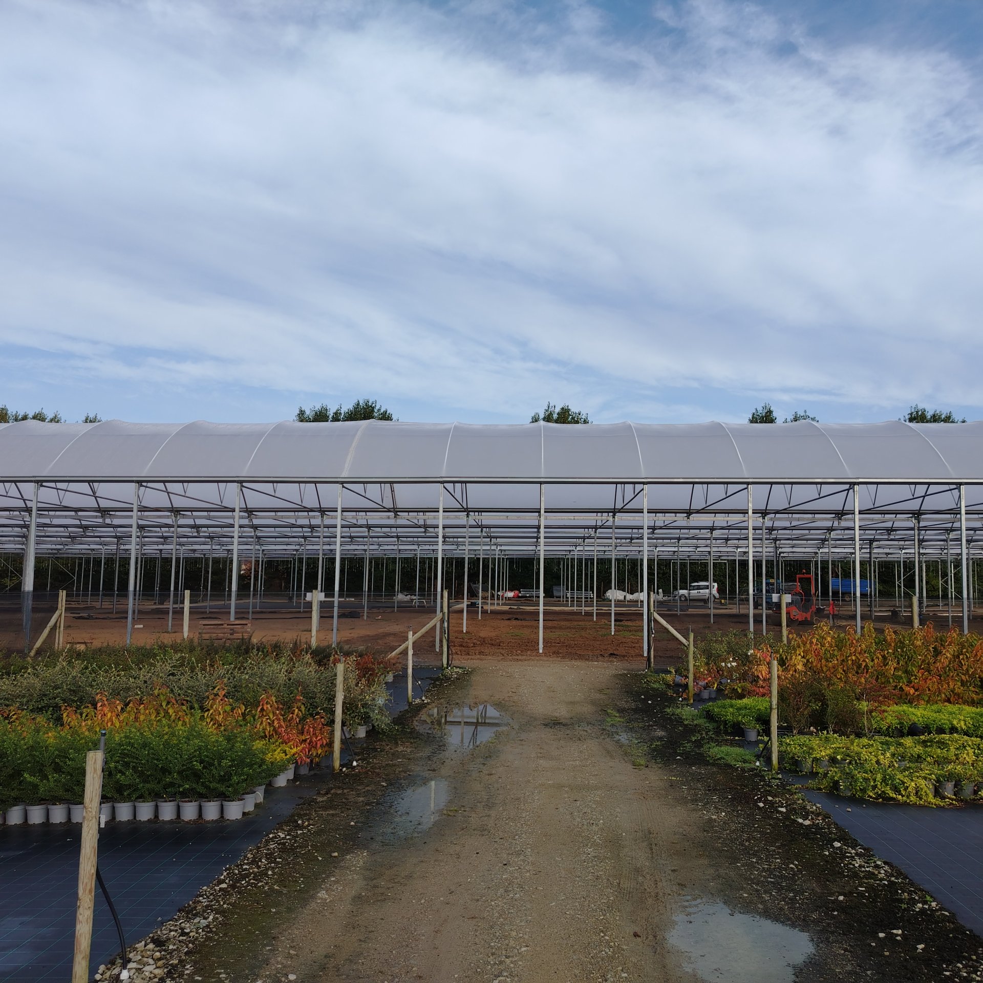 Assistance on the project in the UK